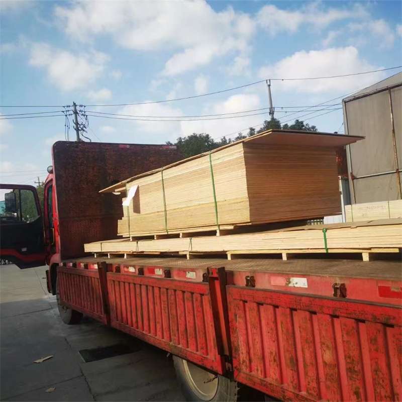 福建泉州洛江至塔城货运专线，一站式物流服务助您成功